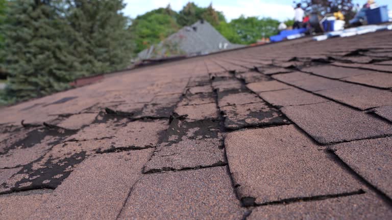 Best Green or Eco-Friendly Roofing Solutions  in Horseheads North, NY