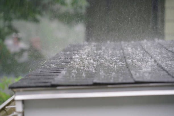 Best Roof Maintenance and Cleaning  in Horseheads North, NY